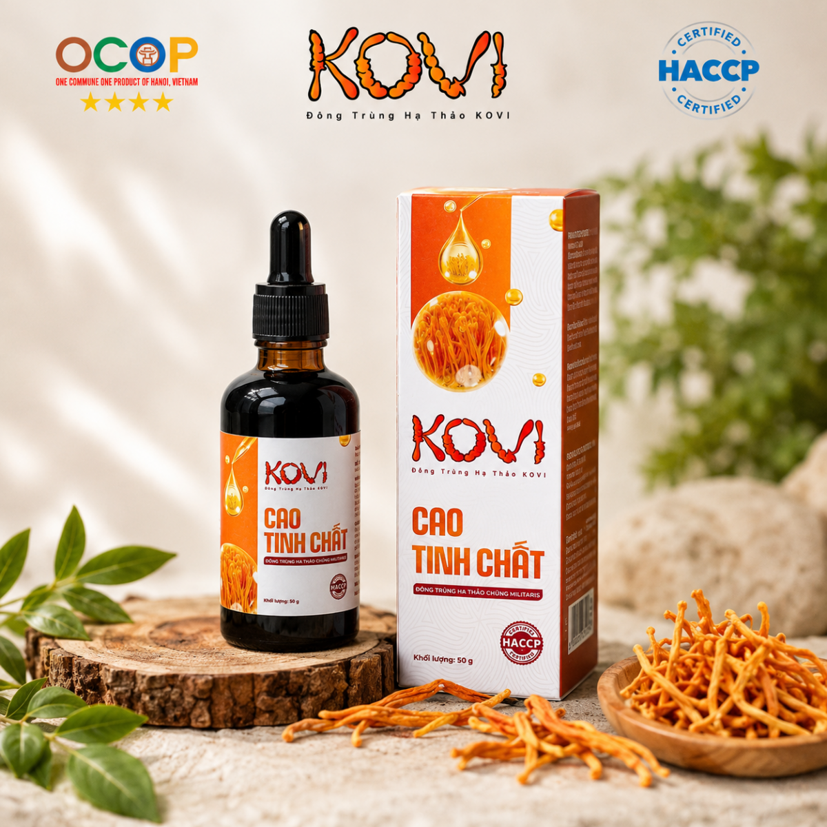 Cao tinh chất đông trùng hạ thảo